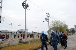 东阳突发事件爆料最新,事件进展追踪